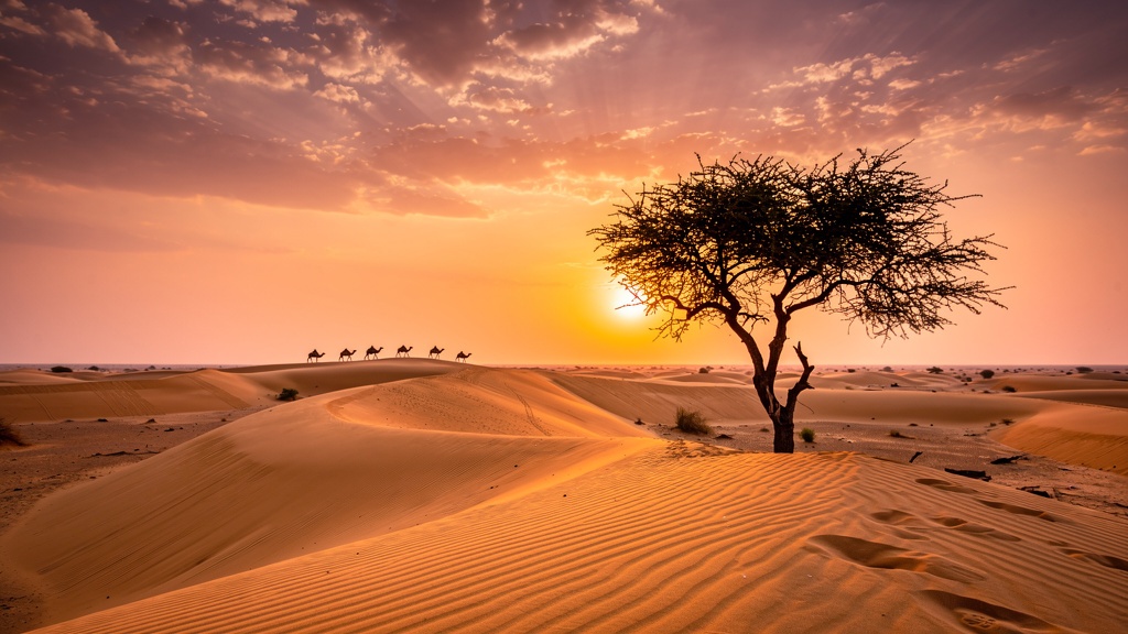 Thar Desert sunset landscape